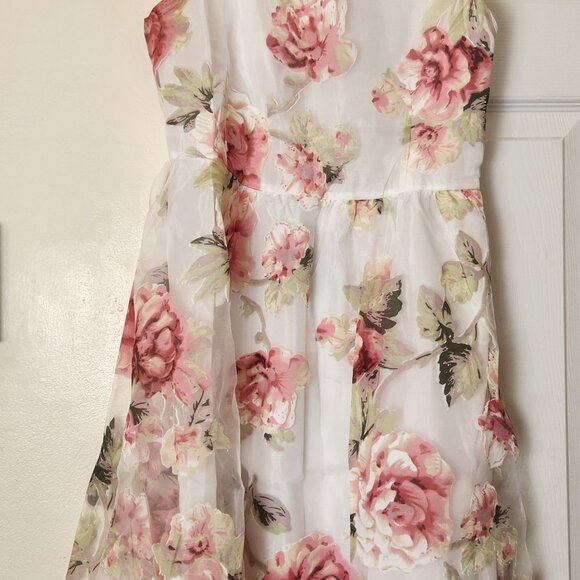 Floral Print Sheer Sleeveless Dress Brand New Women’s Fashion Outfit - Picture 3 of 12